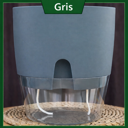 Pot auto-arrosant pour plantes d’intérieur