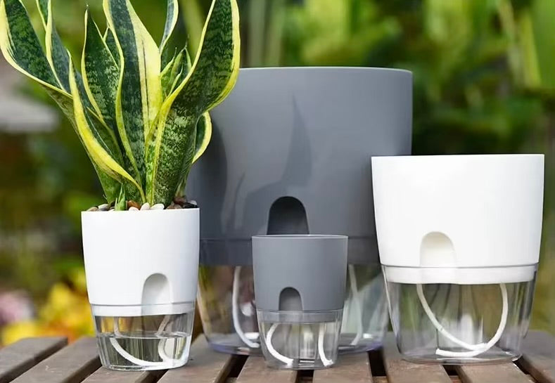 Pot auto-arrosant LIVAYA